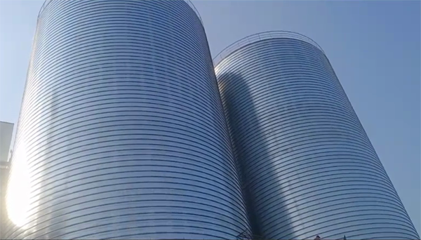 沂南2座混凝土高架卷板仓